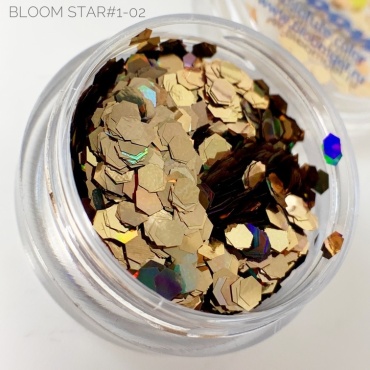 Bloom блестки Star 1 02 1 шт