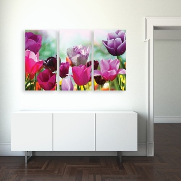 Фото 3