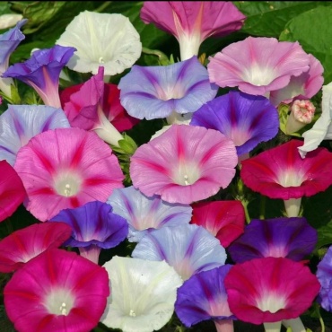 Фото 2