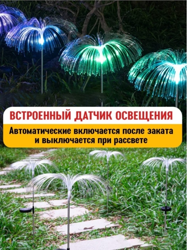 Фото 3