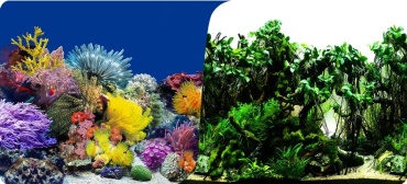Nature 8001/8002 (60)