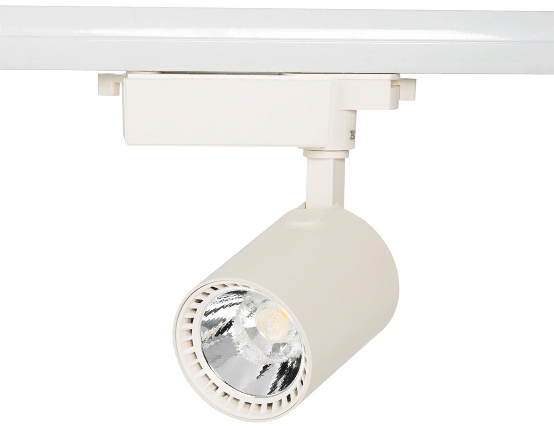Светильник настенно-потолочный TEKLED LED 20 Вт белый