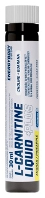 l carnitin rossmann preis WellMix L-Carnitin Liquid Orange Flavour online kaufen