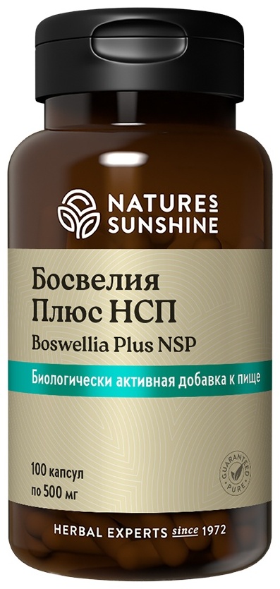 Купить NSP Boswelia Plus Босвелия Плюс в Алматы – Магазин на Kaspi.kz