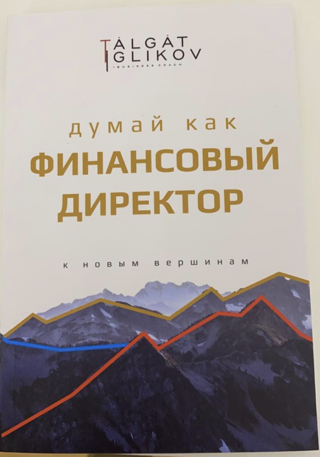 Думай как Финансовый директор