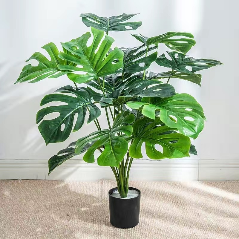 Plant Republic монстера 70 см, 869697