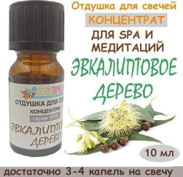 Остров Творчества Отдушка Эвкалиптовое дерево CI04D219