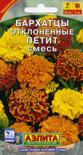 Аэлита бархатцы отклоненные петит смесь