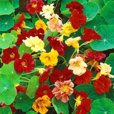 Фото 2