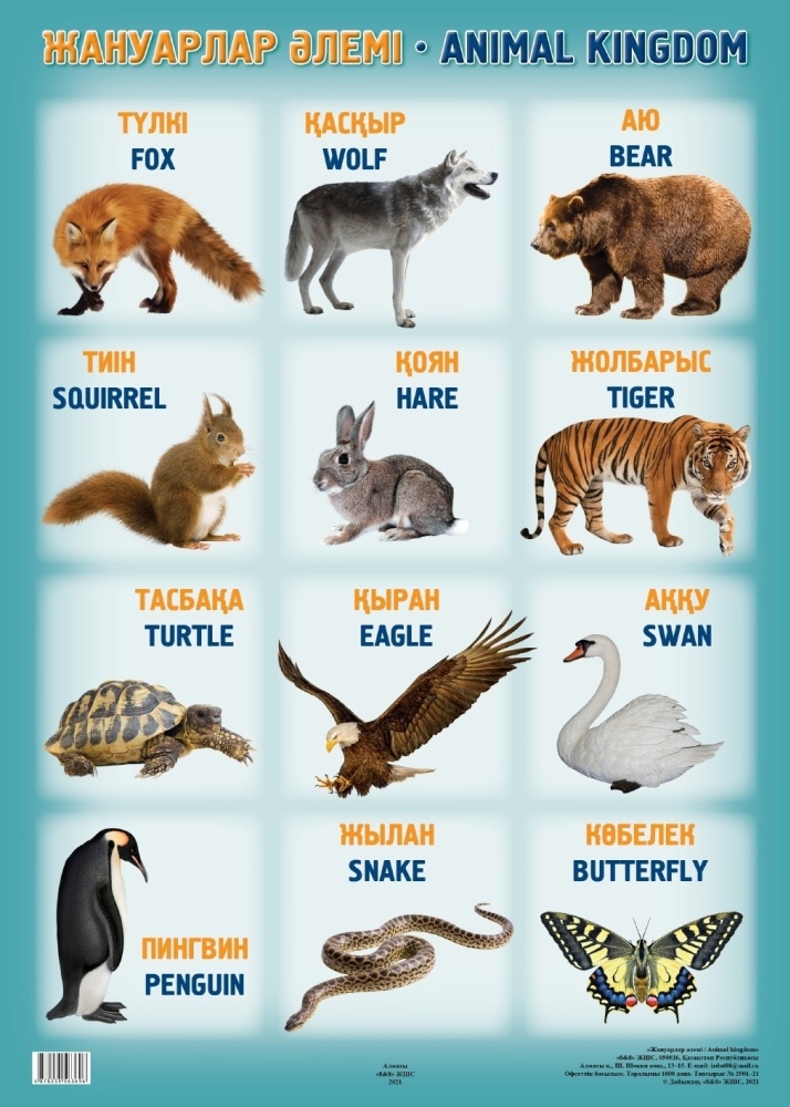 Түкті иісі бар письки фотосуреттері