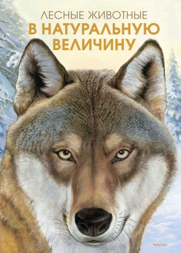 Хааг Х.: Лесные животные в натуральную величину