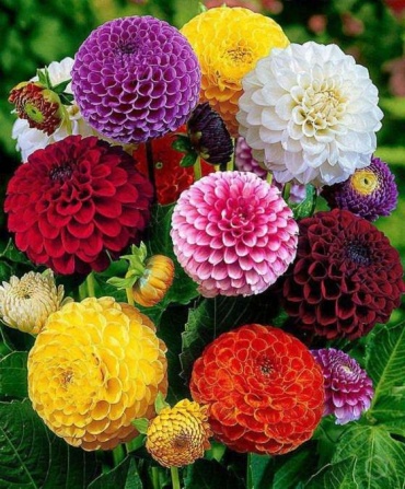 Фото 2