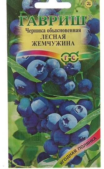 Гавриш черника Лесная жемчужина