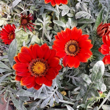 Фото 2