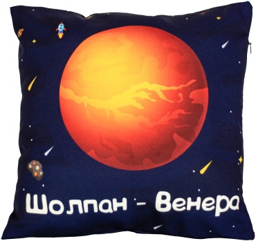 Подушка декоративная Shabu 33x33 см, 11211