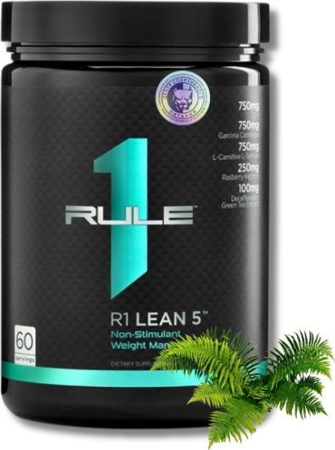 Rule 1 Lean 5 Гавайский Бриз 336 г