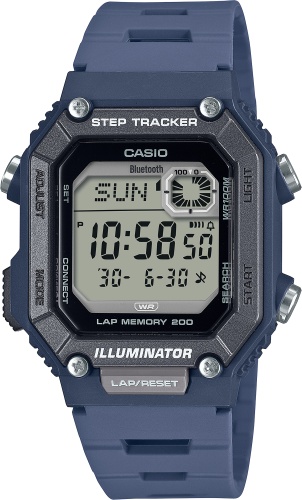 Кварцевые CASIO WS-B1000-2AVDF полимер
