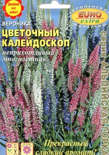 Евро-Семена вероника колосистая Цветочный калейдоскоп