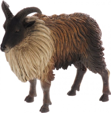 Collecta Гималайский тар 88758b