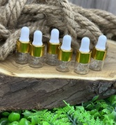 Емкость для косметических средств наливным путем пластик, стекло 1 мл 20 шт