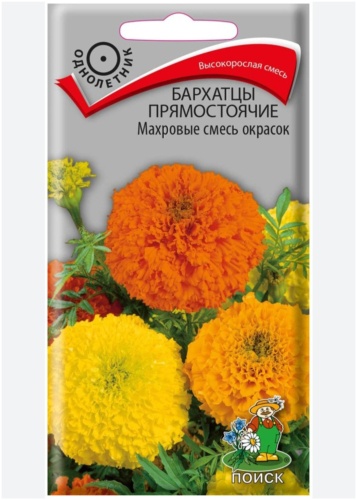 Поиск бархатцы Махровые смесь окрасок