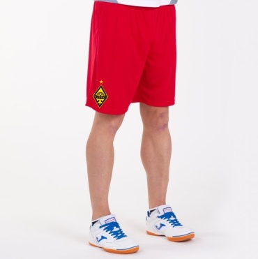 Спортивные шорты JOMA красный