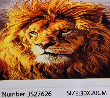 Diamond JS27626 20 см x 30 см
