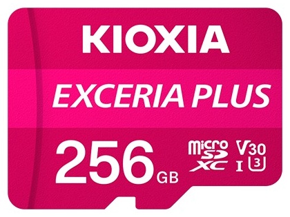 Карта памяти KIOXIA LMPL1M256GG2 256 Гб