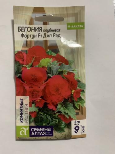 Семена Алтая бегония Фортун Дип Ред F1