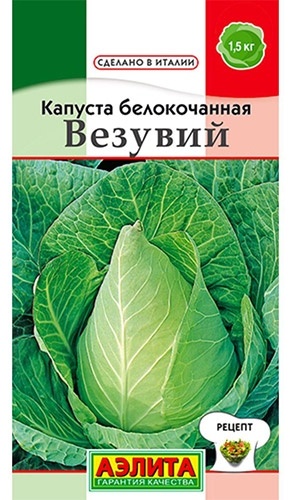 Аэлита капуста белокочанная Везувий