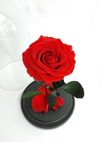 Роза Natural Flowers 26 см
