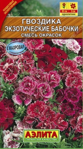 Аэлита гвоздика Экзотические бабочки смесь сортов
