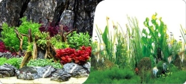Nature 8023/9038 (50) пленочный фон 100 x 50 см