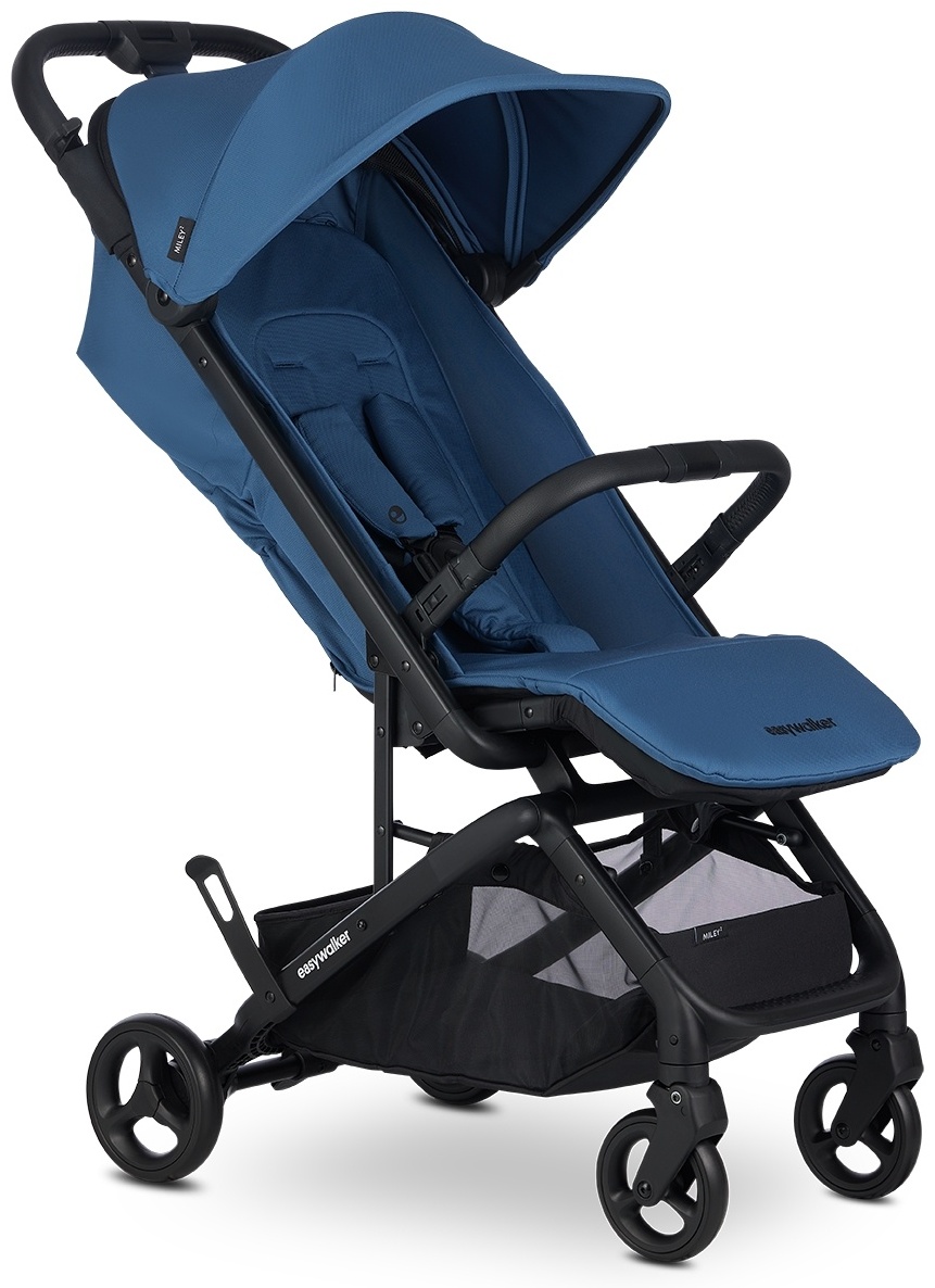 Купить Коляска прогулочная Easywalker EML20006, голубой в Алматы ...