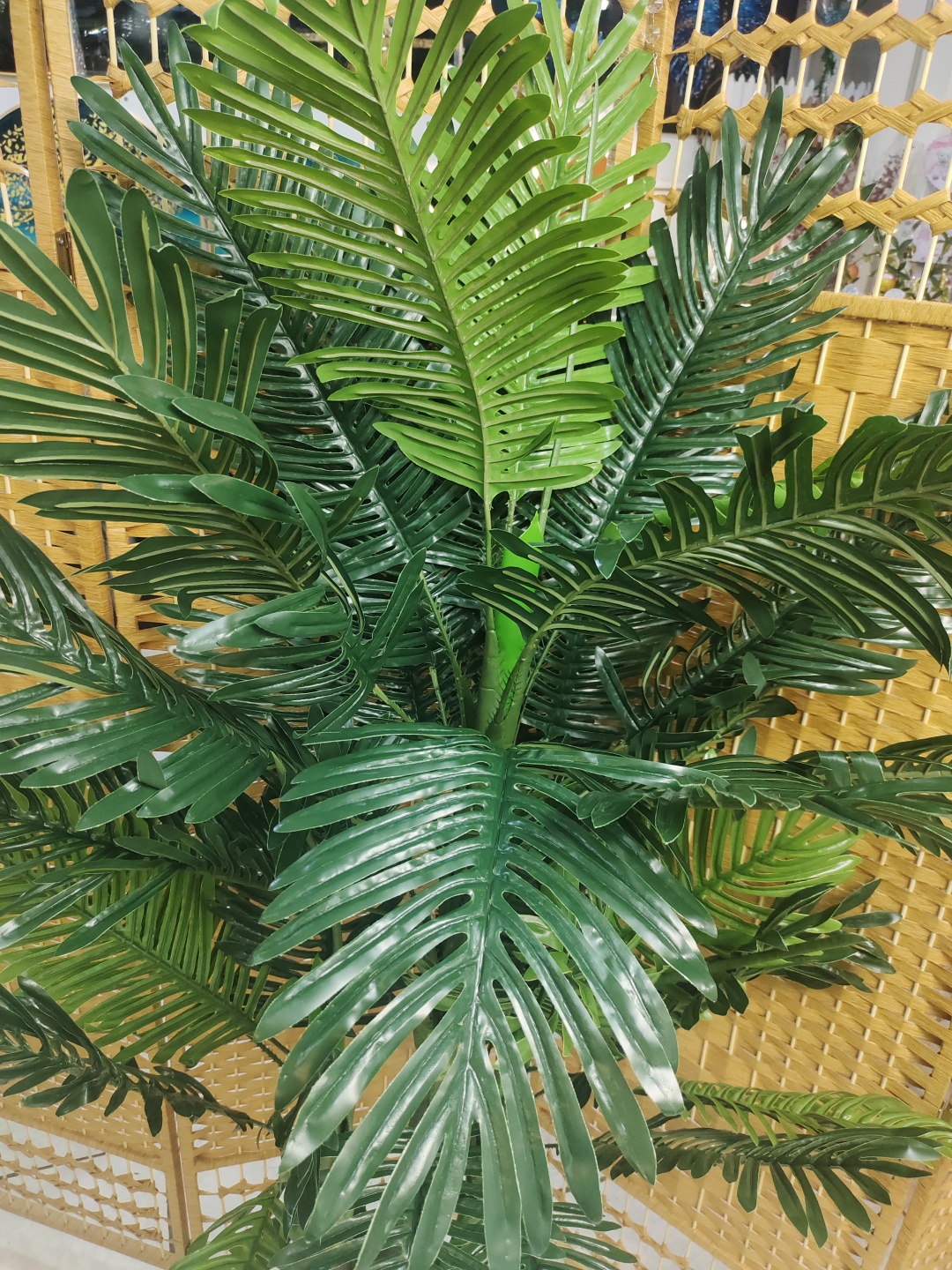 Фото 2
