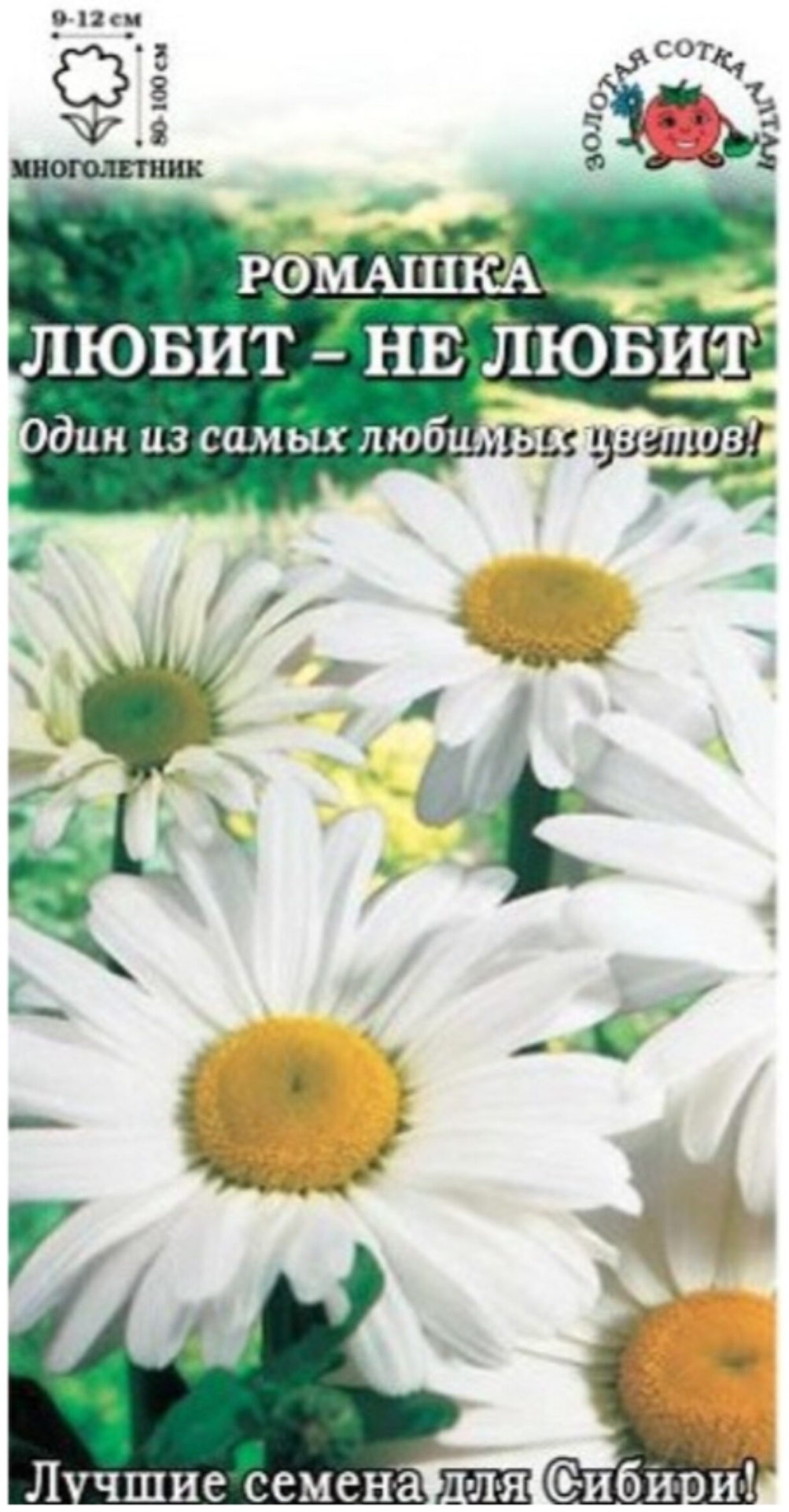 Парень гадает на ромашке. Погадаем на ромашке. Люблю ромашки. Гадать на ромашке. Ромашка любит не любит.