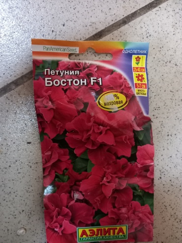 Аэлита петуния Бостон