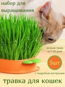 Трава ростки пшеницы 15 г 5 шт