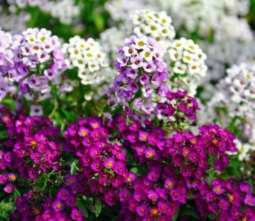 Фото 2