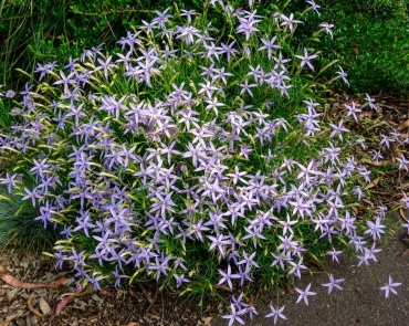 Фото 2