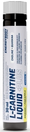 where to buy liquid l carnitine Nature's Answer Liquid Carnitine Dietary Supplement, 16 fl oz