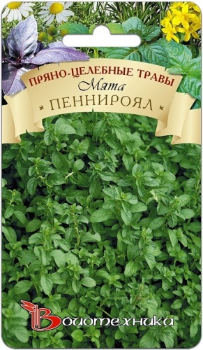 Биотехника мята Мята Пеннироял