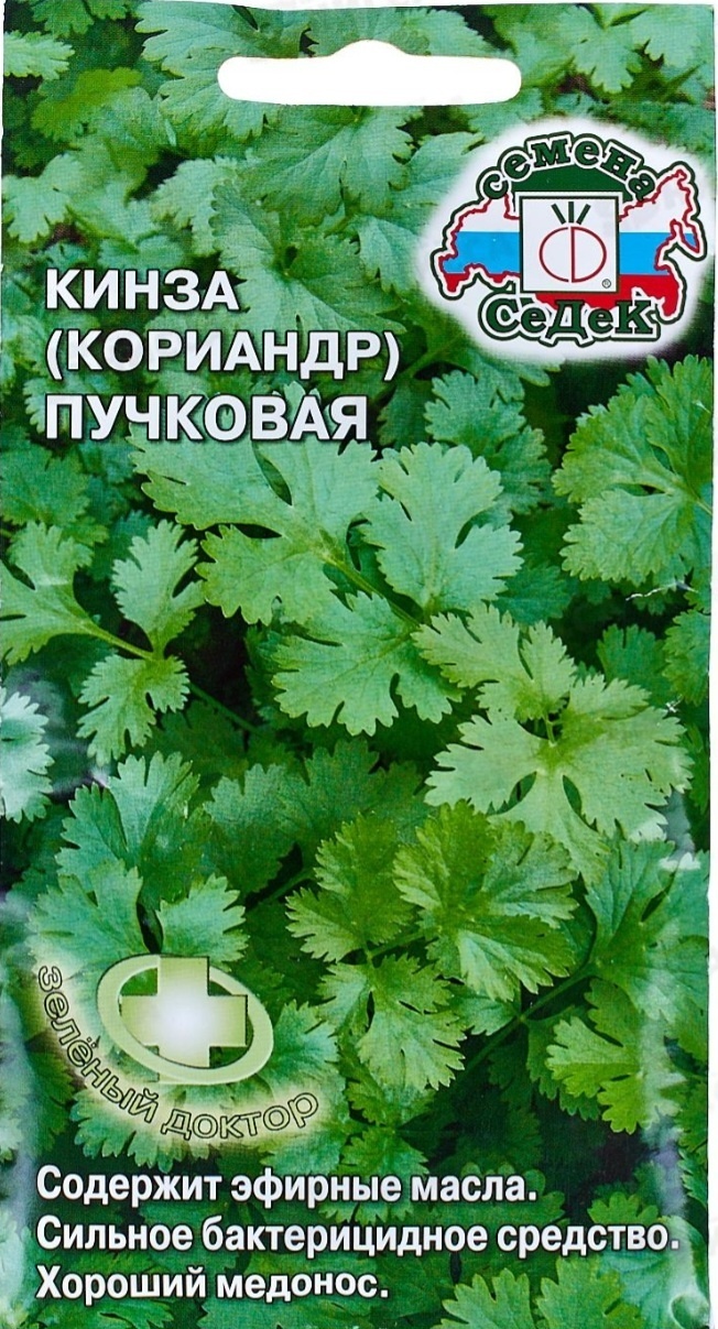 СеДеК кориандр Кинза пучковая