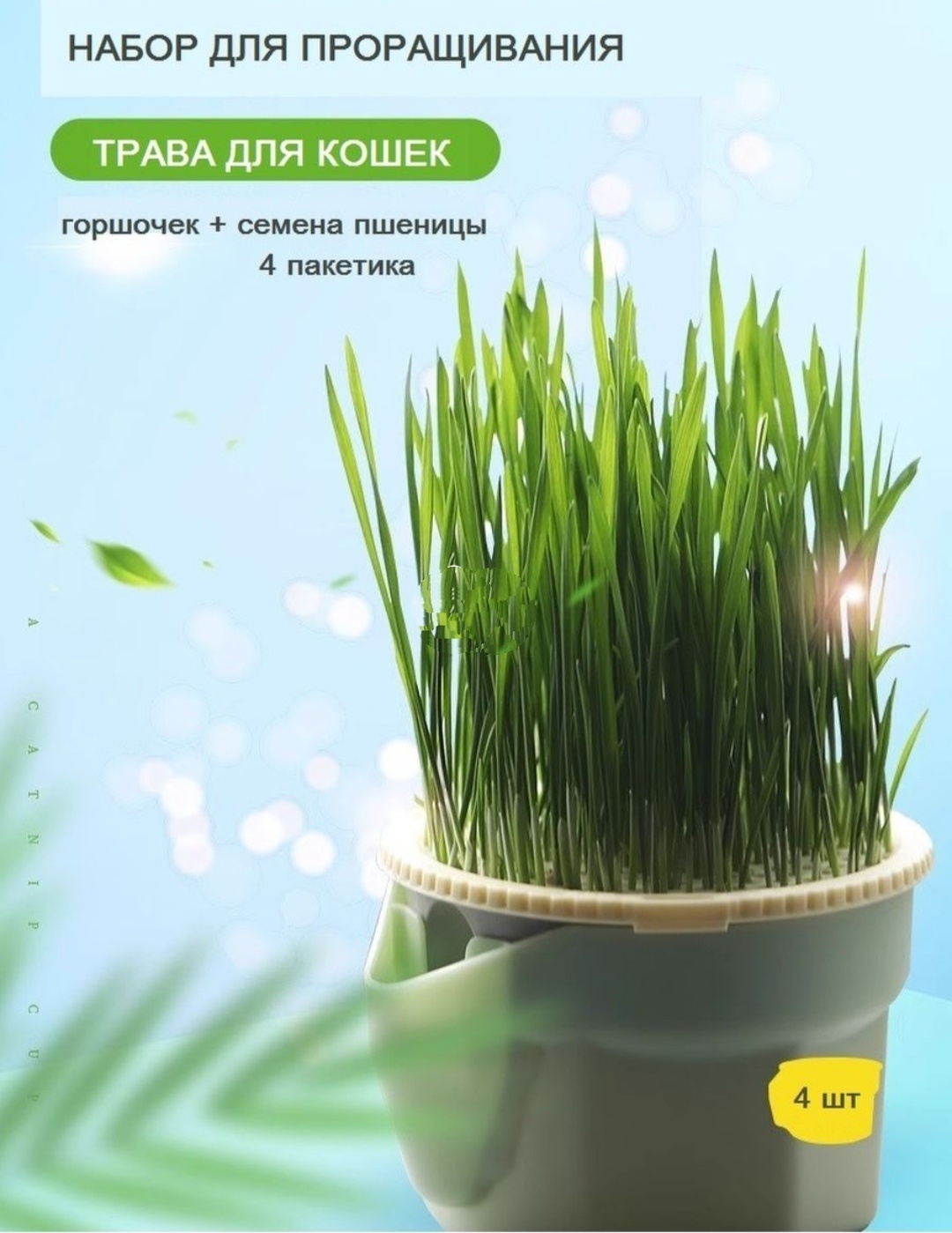 Трава для кошек - набор для проращивания