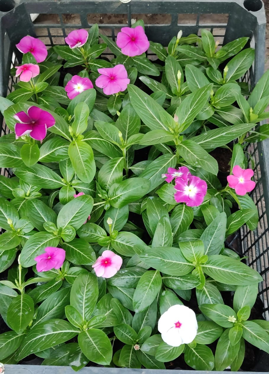 Фото 6