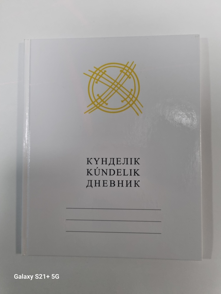 Электронный дневник школьника в году: как пользоваться