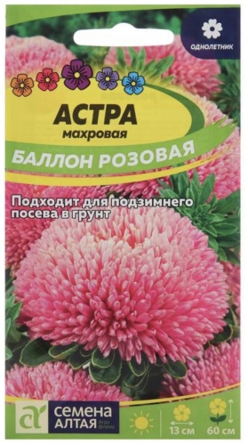 Семена Алтая астра Махровая Баллон розовая