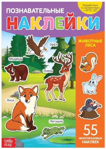 Сачкова Е.: Животные леса