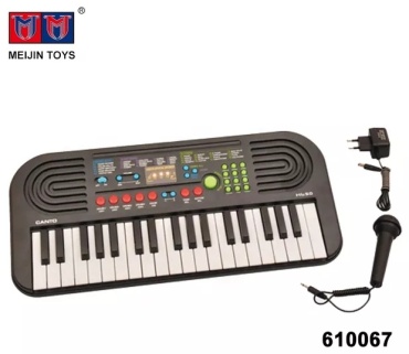 Музыкальный инструмент Canto HL-50