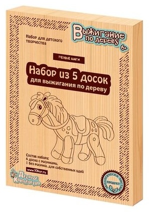 Десятое Королевство Выжигание Первые шаги 01734 5шт